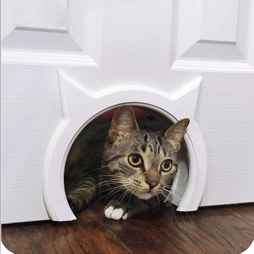 The Kitty Pass Interior Cat Door